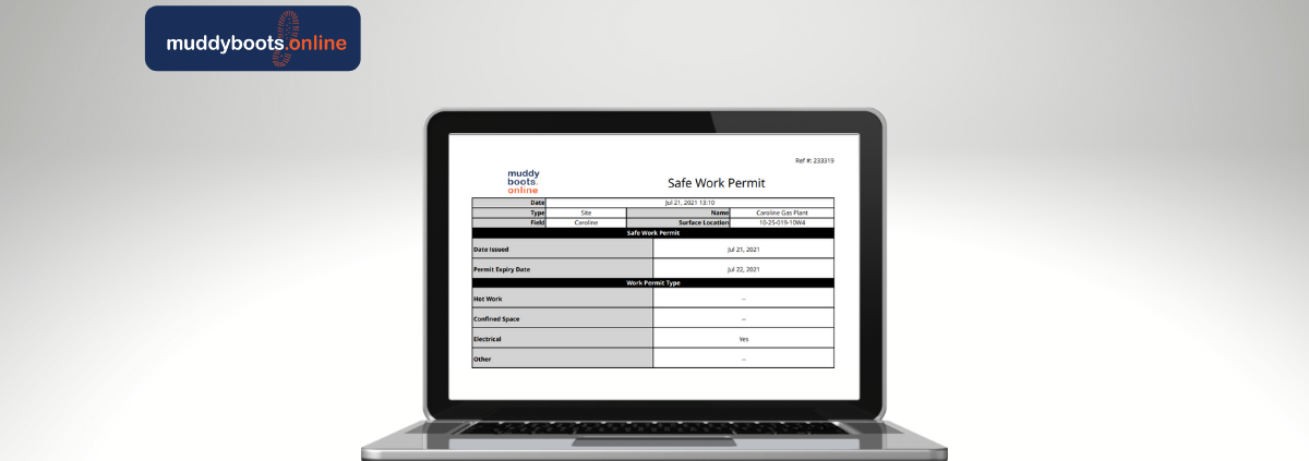 Online Permitting with Muddy Boots